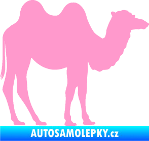 Samolepka Velbloud 003 pravá světle růžová