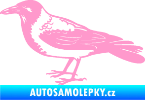 Samolepka Vrána 001 levá světle růžová