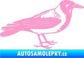 Samolepka Vrána 001 pravá světle růžová