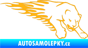 Samolepka Animal flames 020 pravá puma světle oranžová