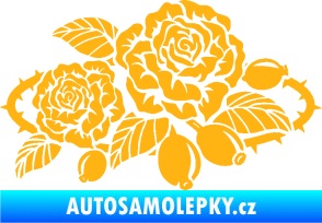 Samolepka Interiér 004 pravá růže šípková světle oranžová