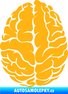 Samolepka Mozek 001 levá světle oranžová