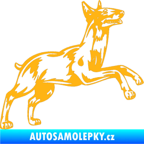 Samolepka Pes 015 pravá Bulteriér světle oranžová