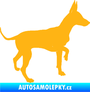 Samolepka Pes 093 pravá Pražský krysařík světle oranžová