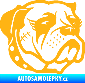 Samolepka Pes 097 pravá Buldok světle oranžová