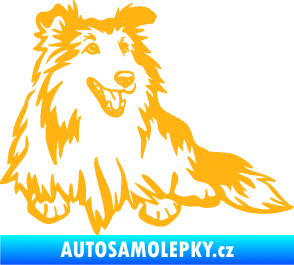 Samolepka Pes 162 pravá sheltie světle oranžová