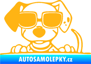 Samolepka Pes s brýlemi 101 levá v autě světle oranžová