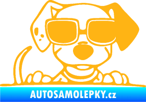 Samolepka Pes s brýlemi 101 pravá v autě světle oranžová