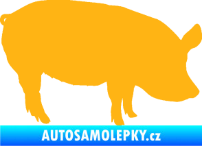 Samolepka Prase 001 pravá světle oranžová