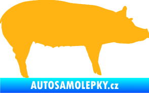 Samolepka Prase 002 pravá světle oranžová