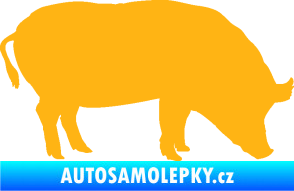 Samolepka Prase 004 pravá světle oranžová