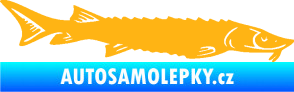 Samolepka Ryba 020 pravá jeseter světle oranžová
