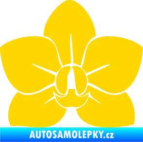 Samolepka Květina dekor 023 orchidej květ jasně žlutá