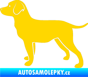 Samolepka Pes 062 levá Labrador jasně žlutá