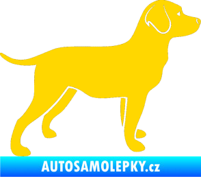 Samolepka Pes 062 pravá Labrador jasně žlutá