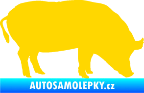 Samolepka Prase 004 pravá jasně žlutá