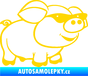 Samolepka Prase 006 pravá frajer v brýlích jasně žlutá