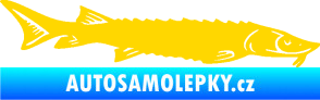 Samolepka Ryba 020 pravá jeseter jasně žlutá