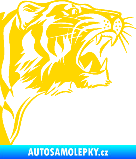 Samolepka Tygr 002 pravá jasně žlutá