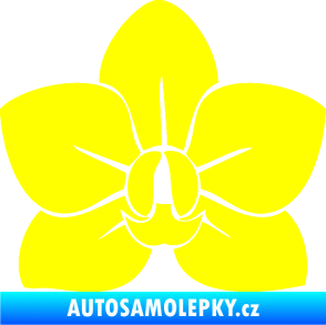 Samolepka Květina dekor 023 orchidej květ žlutá citron