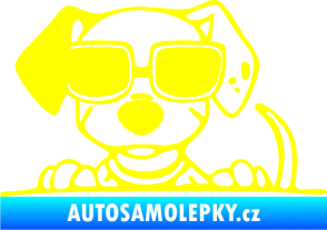 Samolepka Pes s brýlemi 101 levá v autě žlutá citron