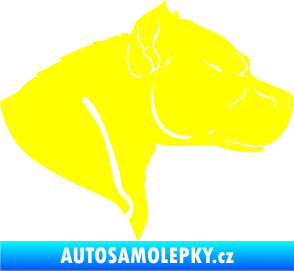 Samolepka Pitbull 004 pravá žlutá citron