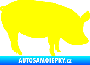 Samolepka Prase 001 pravá žlutá citron