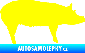 Samolepka Prase 002 pravá žlutá citron