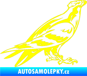 Samolepka Predators 006 pravá žlutá citron