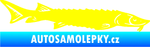 Samolepka Ryba 020 pravá jeseter žlutá citron