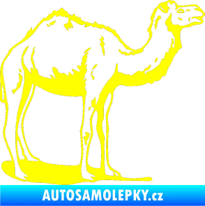 Samolepka Velbloud 001 pravá žlutá citron