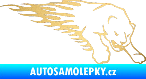 Samolepka Animal flames 020 pravá puma zlatá metalíza