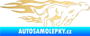 Samolepka Animal flames 084 pravá lvice zlatá metalíza