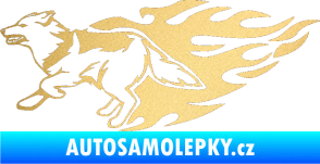 Samolepka Animal flames 090 levá vlk zlatá metalíza