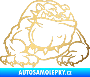 Samolepka Buldog 001 pravá pes zlatá metalíza