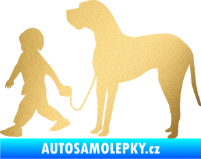 Samolepka Chlapec venčí psa levá zlatá metalíza