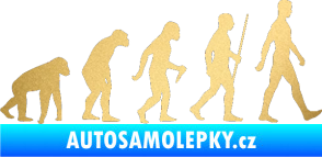 Samolepka Evoluce 001 pravá zlatá metalíza