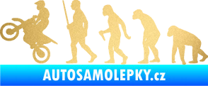 Samolepka Evoluce 002 motokros levá zlatá metalíza