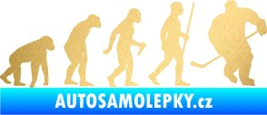 Samolepka Evoluce 003 hokej pravá zlatá metalíza