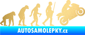 Samolepka Evoluce 004 pravá motorkář zlatá metalíza