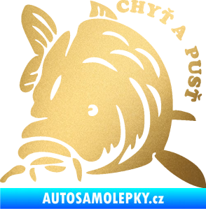 Samolepka Kapr 004 chyť a pusť levá zlatá metalíza