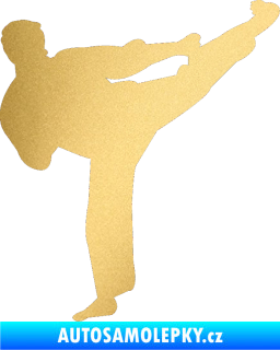 Samolepka Karate 008 pravá zlatá metalíza