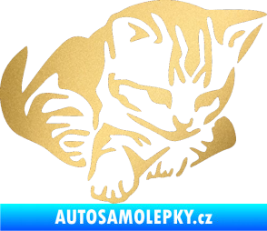 Samolepka Koťátko 003 pravá zlatá metalíza