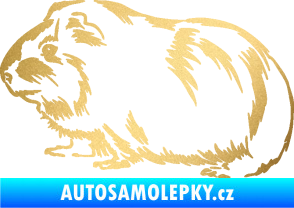 Samolepka Morče 002 levá zlatá metalíza