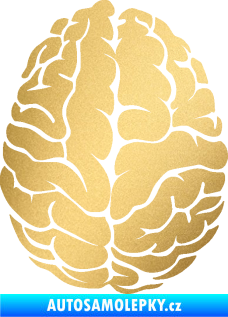 Samolepka Mozek 001 pravá zlatá metalíza