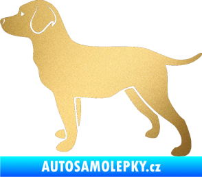 Samolepka Pes 062 levá Labrador zlatá metalíza