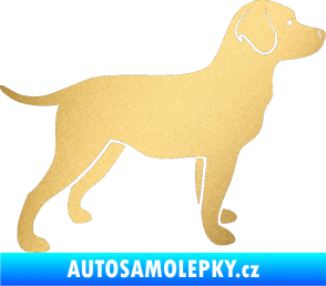 Samolepka Pes 062 pravá Labrador zlatá metalíza