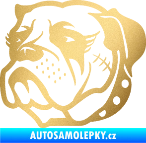 Samolepka Pes 097 levá Buldok zlatá metalíza