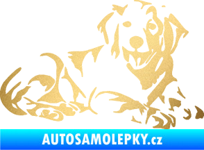 Samolepka Pes 106 pravá Retrívr zlatá metalíza