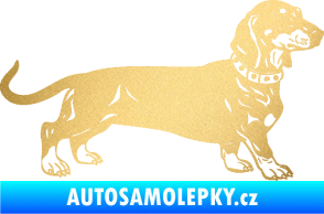 Samolepka Pes 122 pravá jezevčík zlatá metalíza